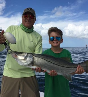 Snook in Naples, Florida